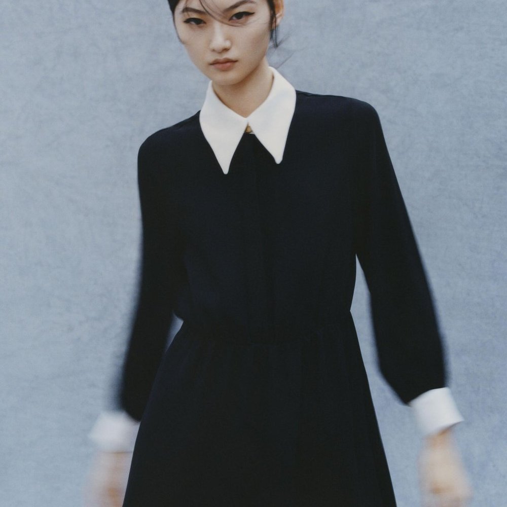 Zara contrasting combination dress (NWT, XS)